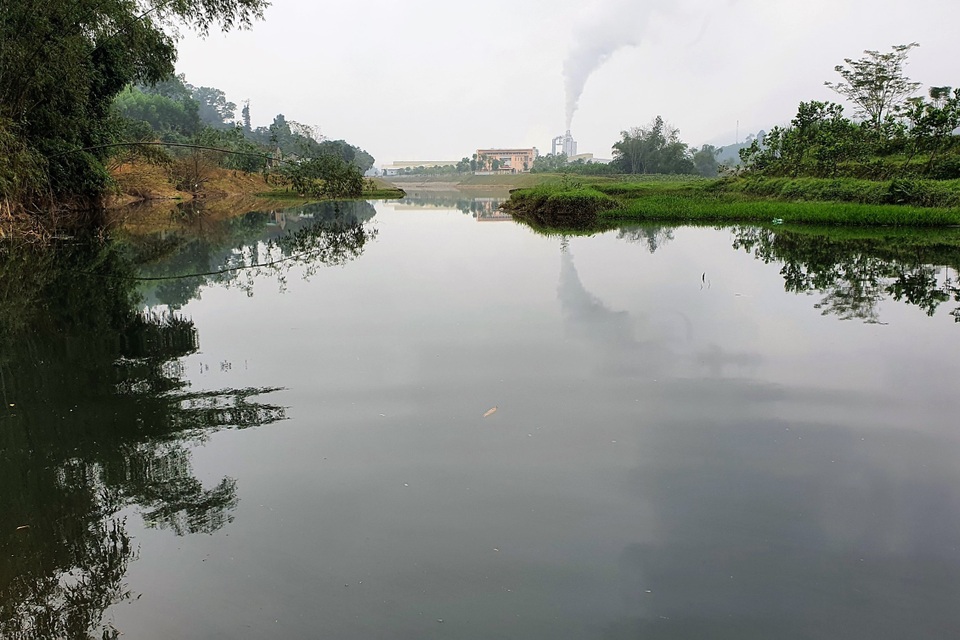 Cả khúc sông đen như mực nghi do nhà máy chế biến gỗ xả thải - 1 Cả khúc sông đen như mực nghi do nhà máy chế biến gỗ xả thải - 1