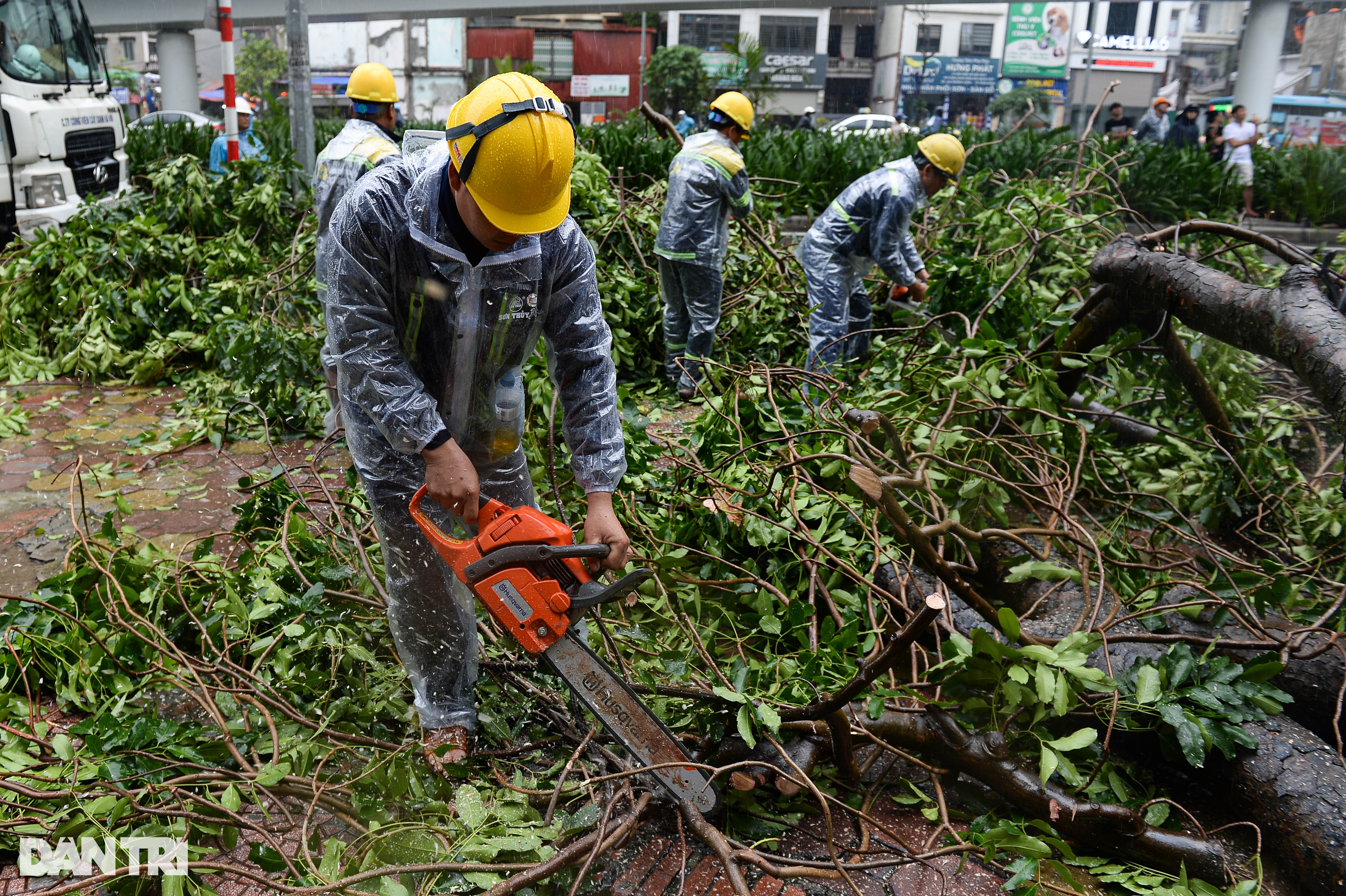 Lực lượng tinh nhuệ TPHCM đội mưa tầm tã dọn dẹp cây xanh tại Hà Nội - 2