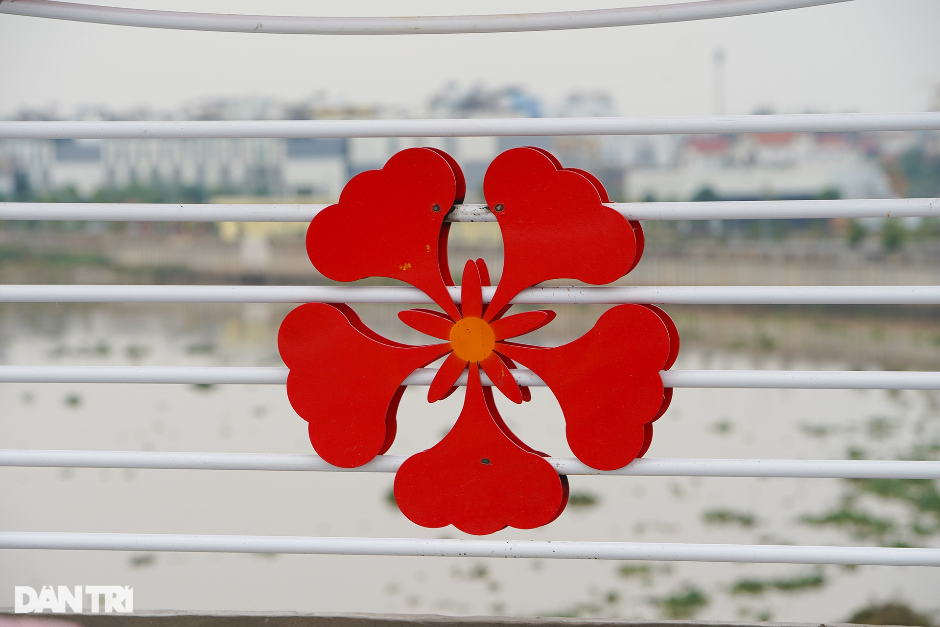 Hải Phòng: Dự án cầu Rào nghìn tỷ gấp rút hoàn thành trước Tết - 11