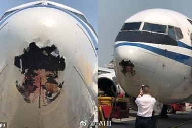 Máy bay Trung Quốc thủng đầu vì va chạm với chim trên không