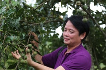 LienVietPostBank miễn nhiệm Phó Chủ tịch Nguyễn Đức Hưởng