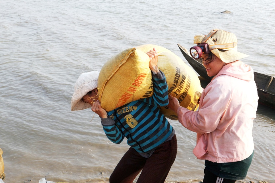 Ngư dân Quảng Nam được mùa rong câu - 8 Ngư dân Quảng Nam được mùa rong câu - 8
