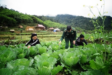 Thanh Hóa: Chuyện trồng ngô thoát nghèo ở nơi ...một năm chơi 8 tháng