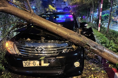 Hà Nội: CSGT cùng người dân giải cứu tài xế ô tô bị cây đè trên đường Láng