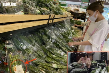 Cục Trồng trọt chỉ đạo khẩn vụ "rau VietGAP rởm"