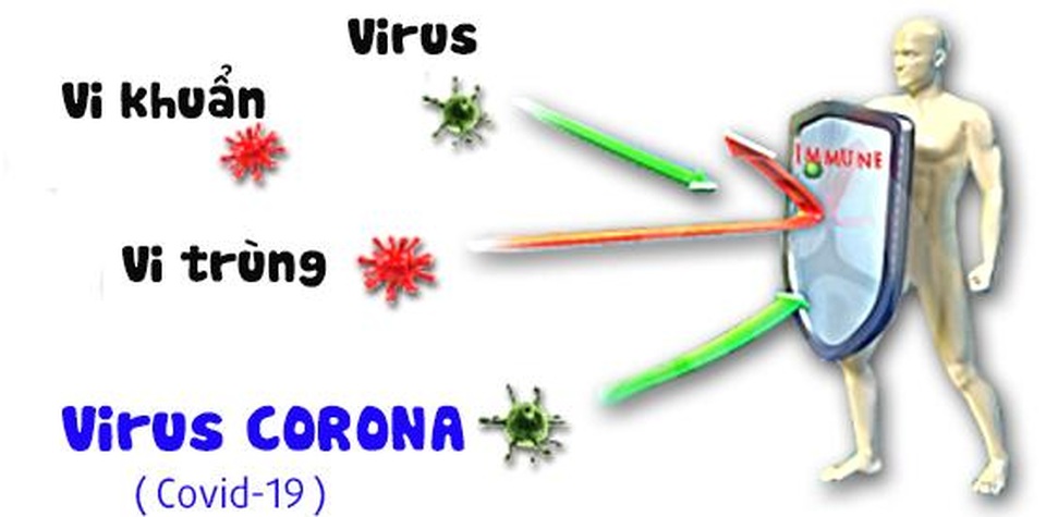 Virus corona (Covid-19) sống sót trong nhiệt độ bao nhiêu? - 2 Virus corona (Covid-19) sống sót trong nhiệt độ bao nhiêu? - 2
