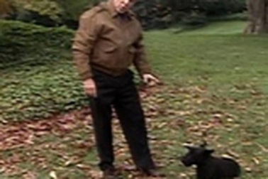 Con chó của Tổng thống Bush “ra” video mừng Giáng sinh