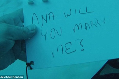 Lãng mạn cặp đôi cầu hôn... giữa đàn cá mập