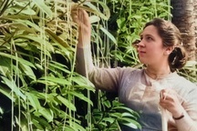 Ngày Cá tháng Tư: Nguồn gốc bí ẩn và những cú lừa kinh điển