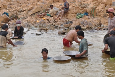 Liều mình đãi vàng dưới chân đập thủy điện