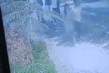 Khoảnh khắc nhóm sinh viên bị sét đánh khi trú mưa hé lộ sai lầm chết người