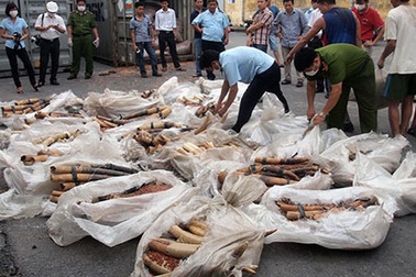 Gần 1 tạ ngà voi “đi máy bay” từ Thổ Nhĩ Kỳ về Việt Nam