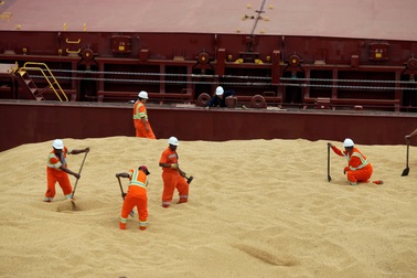 Trung Quốc bất ngờ ngừng mua nông sản Mỹ giữa lúc căng thẳng