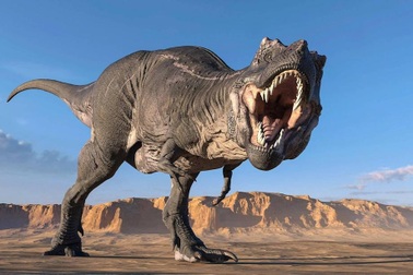 Lực cắn "ngàn cân" của khủng long bạo chúa đáng sợ cỡ nào?