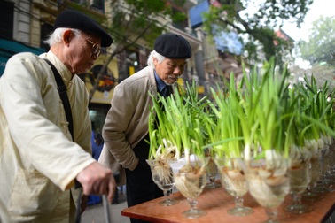 Một buổi sáng ở chợ hoa Tết