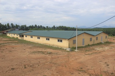 Quảng Trị: Giám đốc Trung tâm giống cây trồng, vật nuôi lập “quỹ đen” 6,3 tỷ đồng!