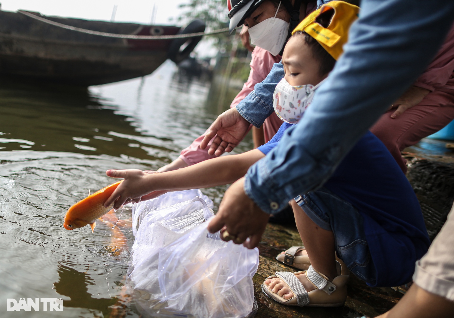 Cá chép chưa kịp tiễn ông Táo lên trời đã bị chích điện - 6 Cá chép chưa kịp tiễn ông Táo lên trời đã bị chích điện - 6