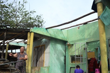 Hàng chục nhà dân tốc mái, cây cối hư hại sau bão số 4