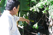 Đà Nẵng: Nước thải y tế xả thẳng ra khu dân cư