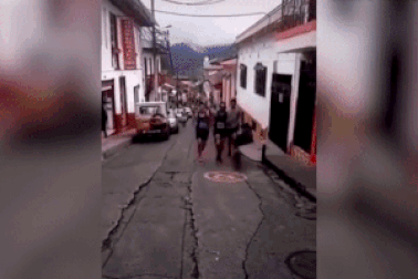 Clip: Cái kết đắng cho vận động viên điền kinh đạp chú chó cản đường