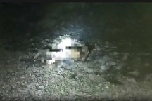 Phát hiện thi thể đàn ông bị cháy trong lô cao su