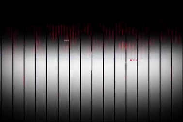 Phạm Băng Băng tham dự lễ vinh danh 100 nhân vật của năm