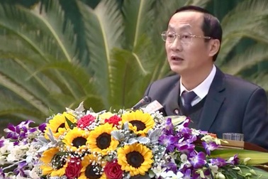 Không thể hỗ trợ tiêu hủy lợn cho người chăn nuôi lên mức 70% giá thị trường?