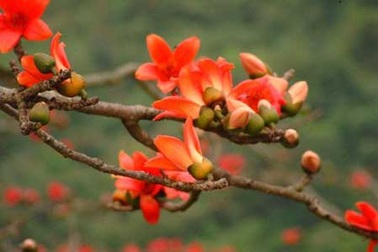 Không thể đến với nhau