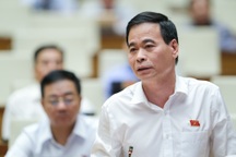 Tranh luận việc người gây ra bạo lực gia đình phải lao động công ích