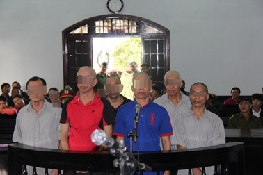 Diễn biến mới vụ 6 cựu chiến binh dọn dẹp cây bụi bị kết tội phá rừng