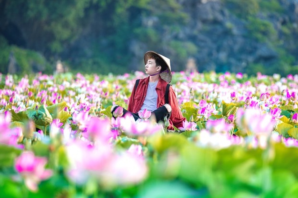 Đầm sen kỳ lạ nở tới tận mùa Đông dưới chân núi Ngọa Long - 2 Đầm sen kỳ lạ nở tới tận mùa Đông dưới chân núi Ngọa Long - 2