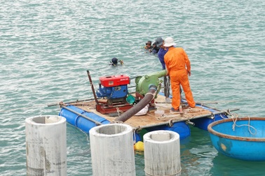 Quảng Ngãi: Khai quật tàu cổ chứa nhiều gốm sứ từ thế kỷ XVI