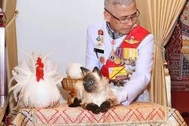 Con mèo gây xôn xao dư luận trong lễ đăng quang của Nhà vua Thái Lan