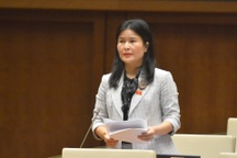 Thu từ chứng khoán, đất đai tăng đột biến, đại biểu Quốc hội lo rủi ro