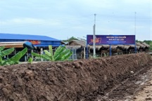 Khu sinh thái hoành tráng "mọc" trên đất đê điều vẫn ngang nhiên hoạt động