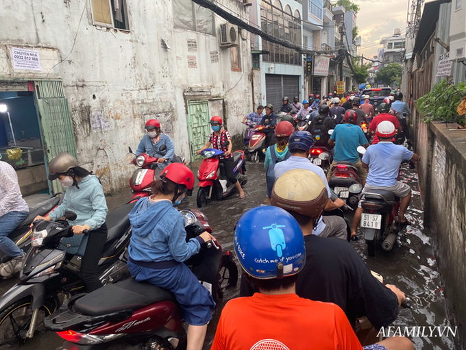 TP.HCM: Mưa lớn khiến đường ngập, cây gãy và kẹt xe, người dân lại khốn khổ lội bì bõm về nhà - Ảnh 7.