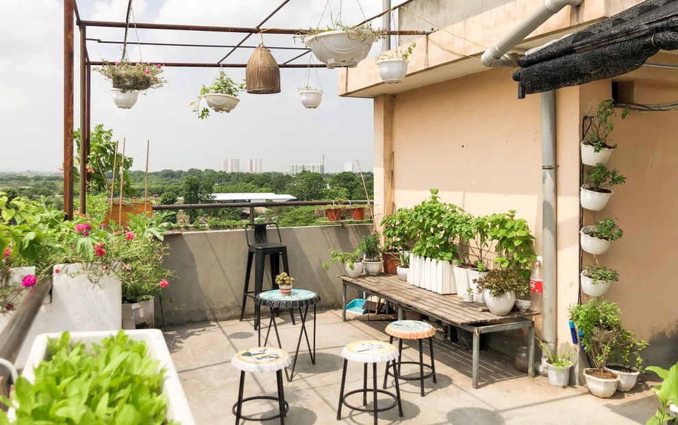 Xóm trọ rủ nhau dùng cốc nhựa, thùng xốp làm khu vườn xinh xắn ở Hà Nội - 3 Xóm trọ rủ nhau dùng cốc nhựa, thùng xốp làm khu vườn xinh xắn ở Hà Nội - 3