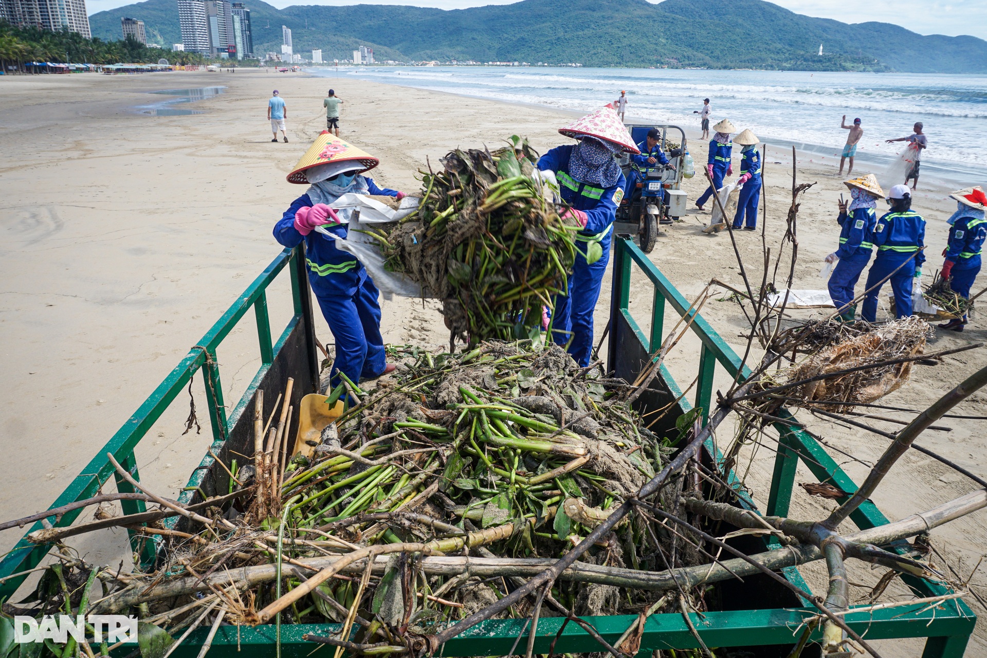 Sau mưa lớn, bờ biển Đà Nẵng ngập rác lẫn kim tiêm - 10