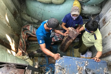 Phát hiện 2 vụ buôn lậu gỗ trắc