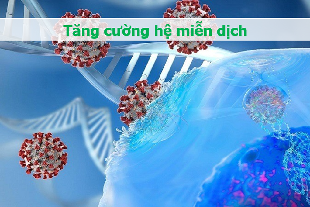 Phần hay bỏ đi khi ăn thịt gà lại đặc biệt tốt cho xương khớp, tim mạch - 5 Phần hay bỏ đi khi ăn thịt gà lại đặc biệt tốt cho xương khớp, tim mạch - 5