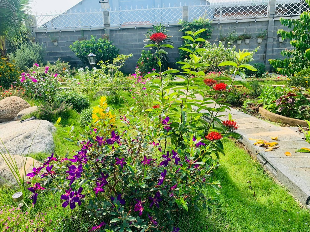 Vườn trồng rau, nuôi cá đẹp như tranh của người chồng tặng vợ ở Đồng Nai - 13 Vườn trồng rau, nuôi cá đẹp như tranh của người chồng tặng vợ ở Đồng Nai - 13