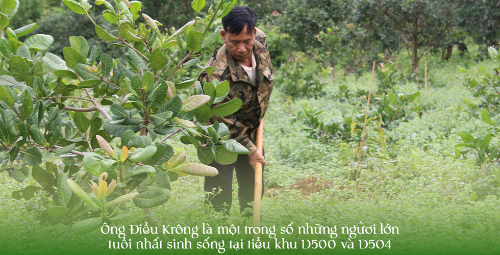Sống khỏe tại nơi từng là điểm nóng về tranh chấp đất rừng - 3 Sống khỏe tại nơi từng là điểm nóng về tranh chấp đất rừng - 3