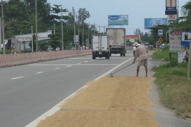 Nước ngập sân, lúa tràn ra quốc lộ