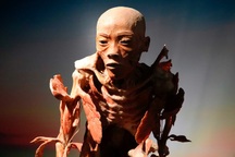 Triển lãm nội tạng và cơ thể người ở TP.HCM: Vừa phi nhân tính, vừa phản nghệ thuật