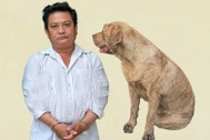 Bắt giữ người đàn ông trộm chó Bandog bán cho quán nhậu ở TPHCM