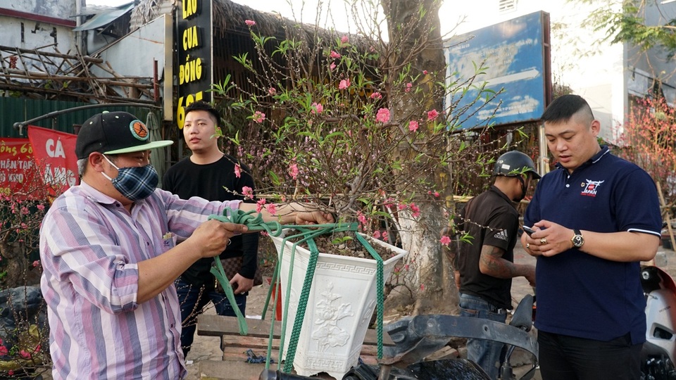Kiếm bạc triệu mỗi ngày nhờ chở cây cảnh thuê dịp Tết - 6 Kiếm bạc triệu mỗi ngày nhờ chở cây cảnh thuê dịp Tết - 6