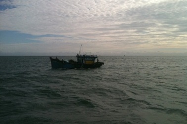 Tàu hàng đâm chìm tàu cá rồi bỏ chạy, 12 ngư dân thoát chết