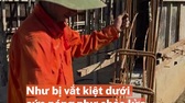 Người dân quay cuồng giữa chảo lửa miền Trung