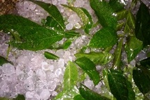 Mưa đá ở Thanh Hóa, Lào Cai