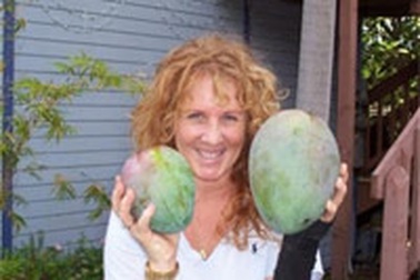 Quả xoài khổng lồ to bằng đầu người